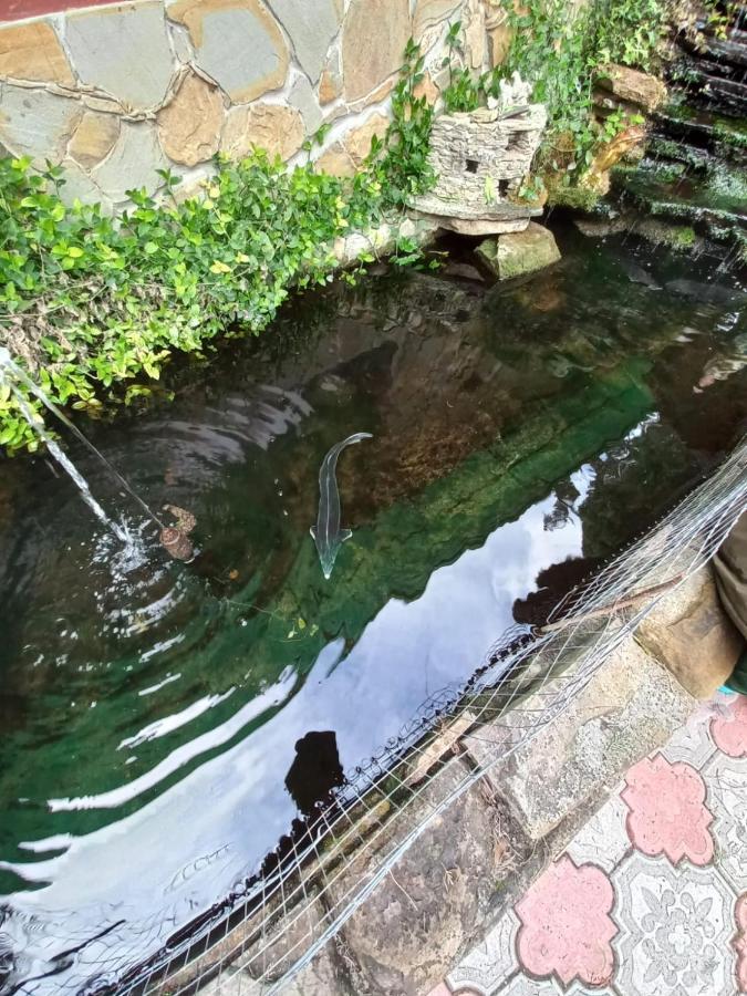 Mechta Guest House Gantiadi Kültér fotó